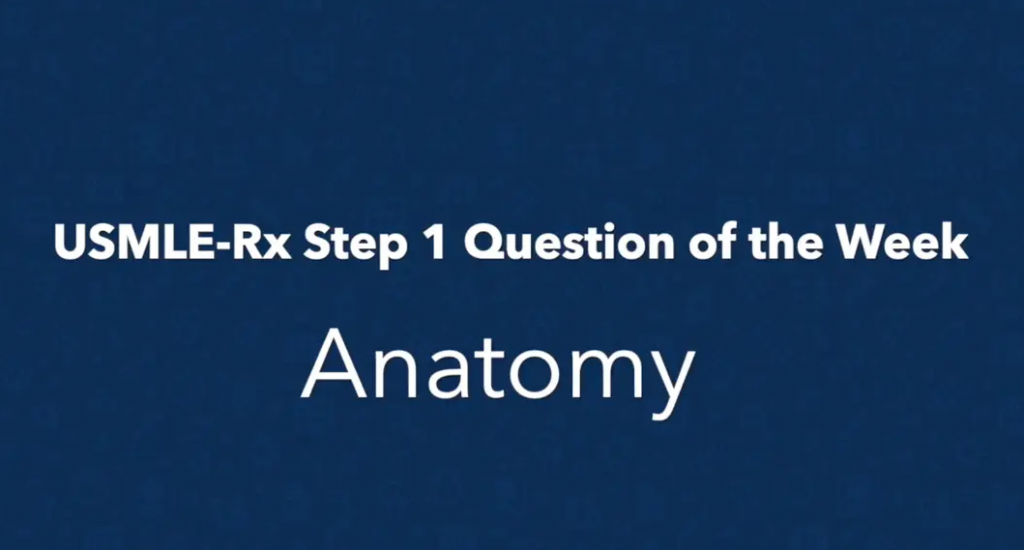 Step 1 Question of the Week - Anatomy