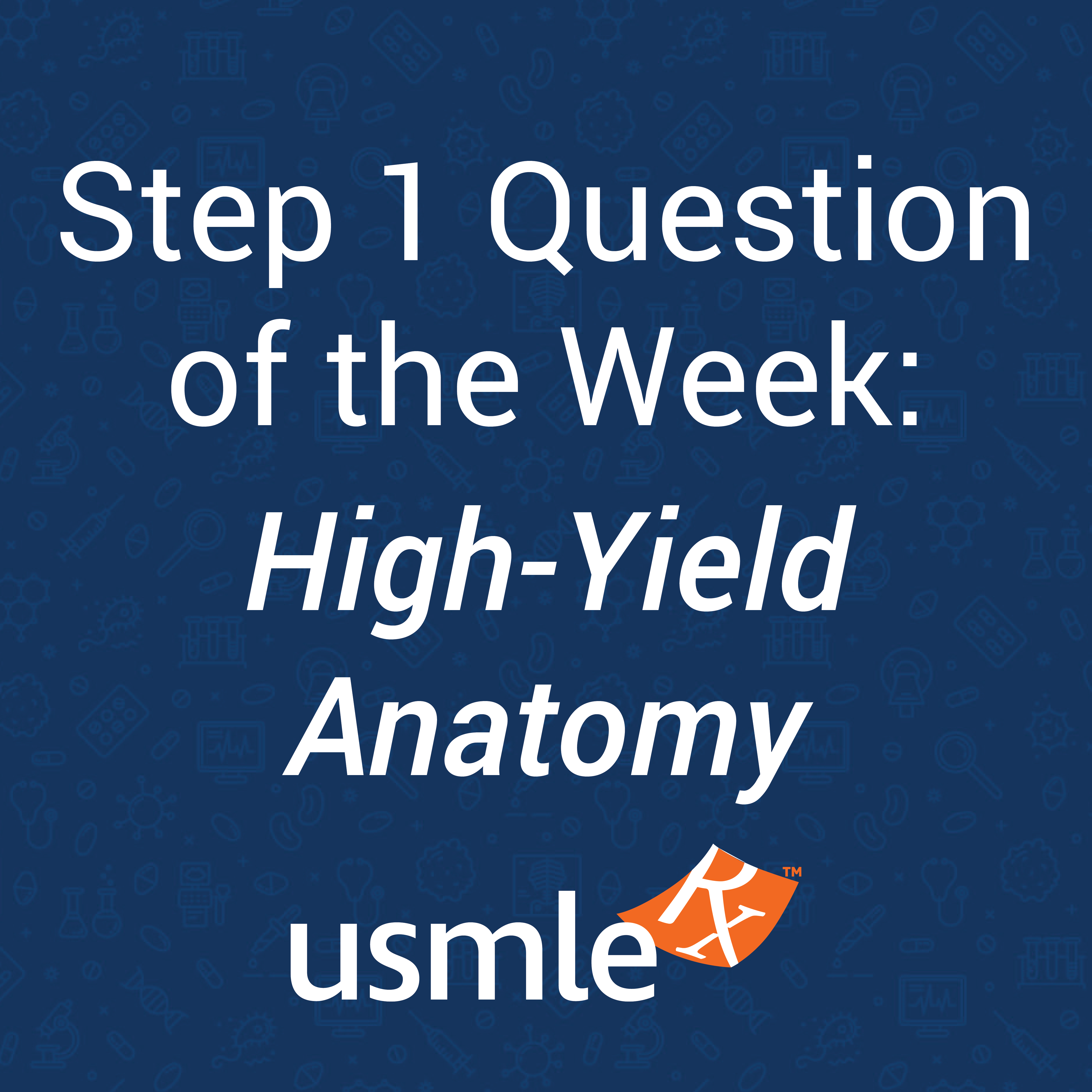 Usmle Step 1 Anatomy Questions Cerebral Cortex Neurology